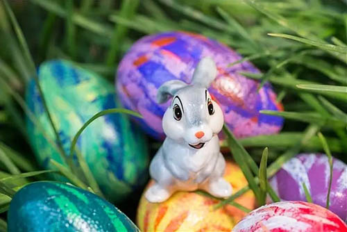 复活节兔和彩蛋