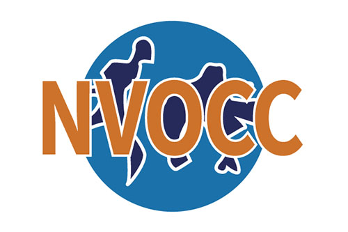 NVOCC国际无船承运人