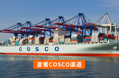 cosco海运渠道